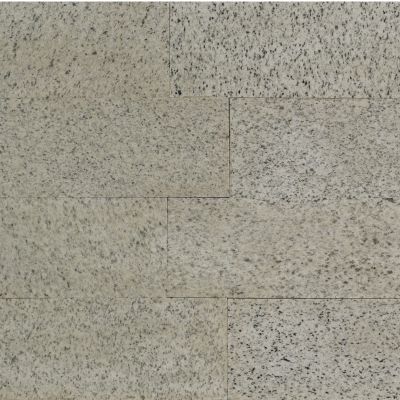 GRANIT BIANCO REAL PLACAJ 60X20 2 FIAMAT